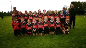 The DRP girls U12 footballers, county finalists in last Saturday's 'A' Championship final.