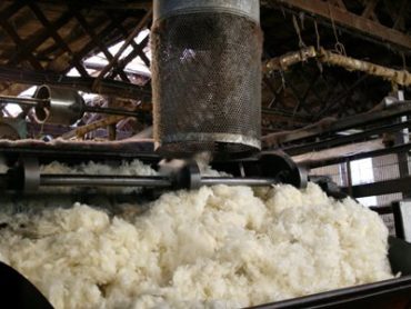 Leitrim Councillor frustrated by lack of progress on wool feasibility study