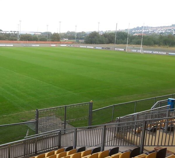 Donegal won't appeal suspensions from Armagh game