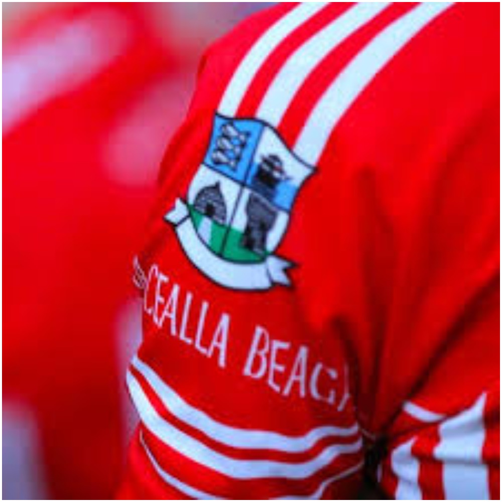 Killybegs preserve Division 1 status with win over Glenswilly