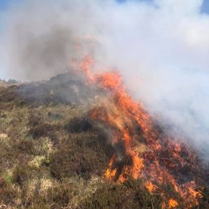 Orange fire risk notice extended until Tuesday