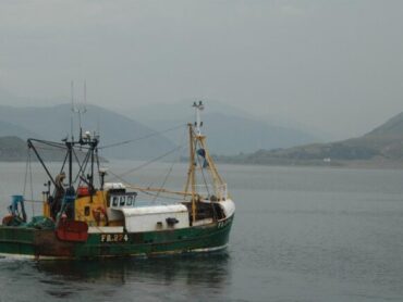 CEO of Killybegs fishermen’s organisation warns of potential jobs loses