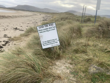 Dog owners up in arms at An Taisce directive to ban dogs from beaches