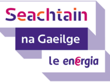 Ronan Flanagan, Seachtain na Gaeilge agus Love Leabhar Gaeilge