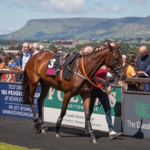 Sligo hosts first race meeting of the year today