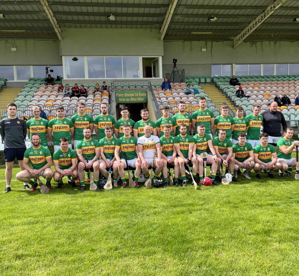 Brave Leitrim miss out on Lory Meagher Cup final