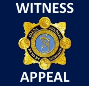 Gardaí appeal for witnesses to fatal road traffic collision near Killargue