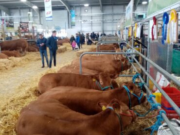 Northwest Agricultural shows benefit from funding package