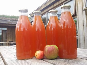 Rossinver’s Organic Centre to host ‘Apple Day’