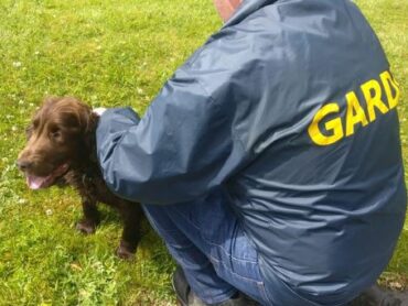 Man arrested after Gardai seize cocaine, cash & cars in County Roscommon