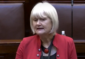 Sligo-Leitrim TD says Coillte plans are a "land grab"