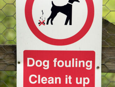 Sligo Councillor claims better education needed to curb dog fouling