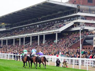 Cheltenham celebrations prompt renewed call for ban on horse racing