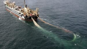 Sligo Councillor calls for ban on super trawlers on Irish waters
