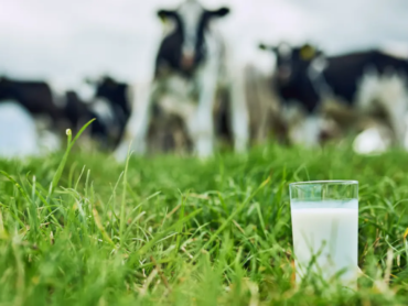 Dairy farmers losing patience- ICMSA