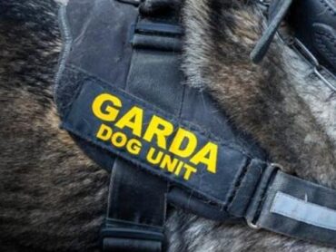 Garda dog on its way to Donegal
