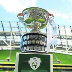Mixed fortunes for local teams in FAI Junior Cup