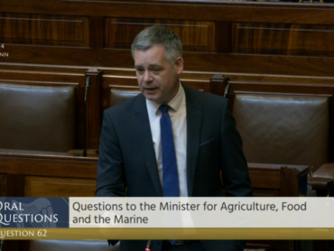 Donegal TDs face off in Dáil fishing row